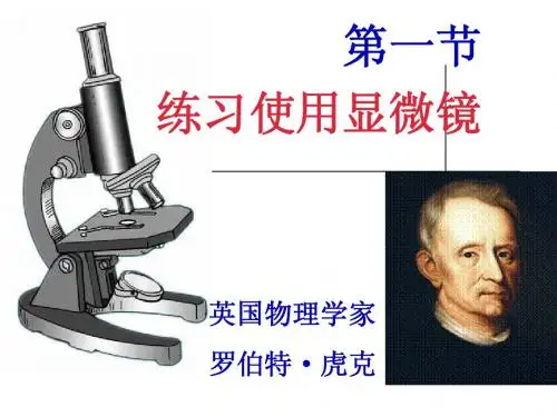 使用显微镜
