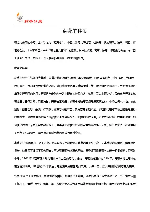 菊花的种类(药茶公主)