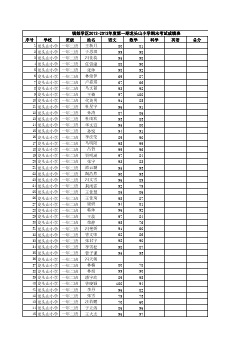 期末成绩表2013.1.2