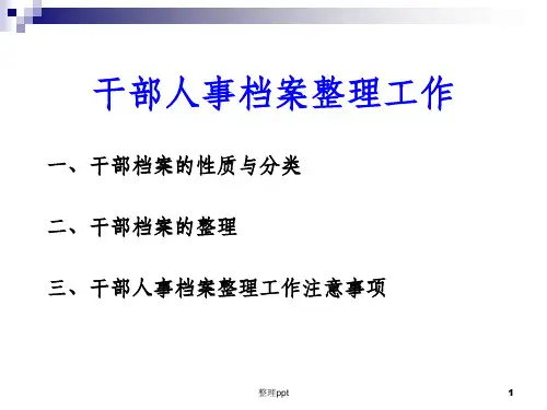 人事档案整理