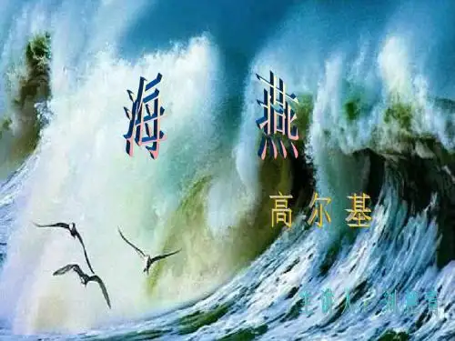 9.《海燕》课件3