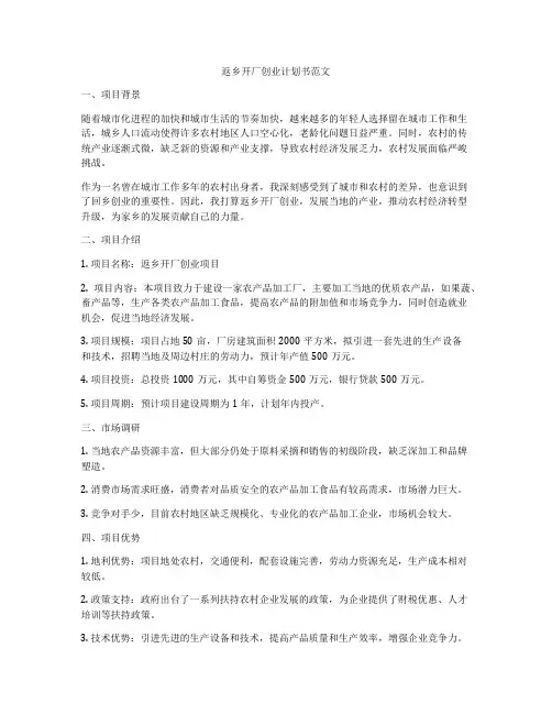 返乡开厂创业计划书范文