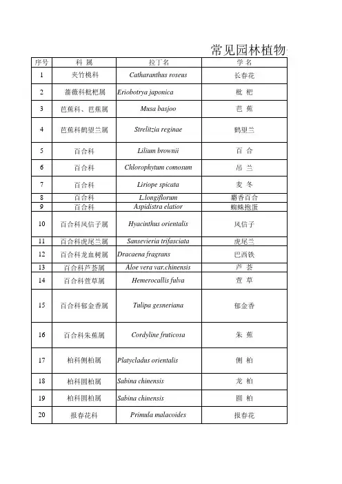 常见园林植物分类一览表