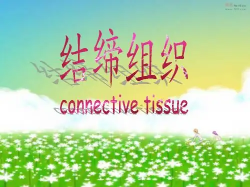 结缔组织