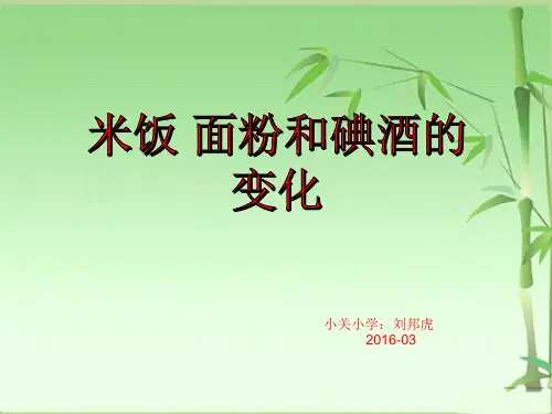 新教科版六年级下册科学第2单元第3课《米饭、淀粉和碘酒的变化PPT课件》