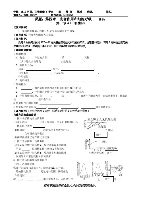 ATP和酶学案2