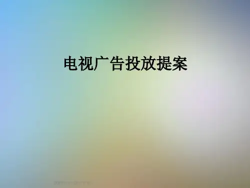 电视广告投放提案