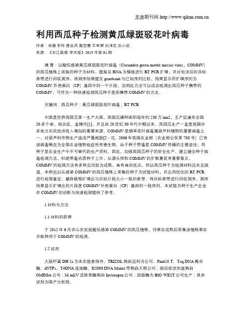 利用西瓜种子检测黄瓜绿斑驳花叶病毒