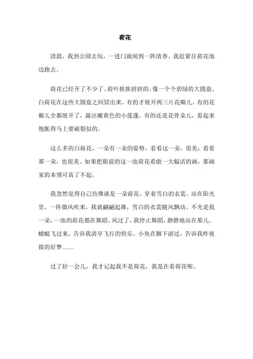 语文人教版三年级下册《荷花》课文