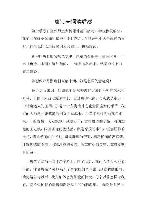 唐诗宋词读后感 2