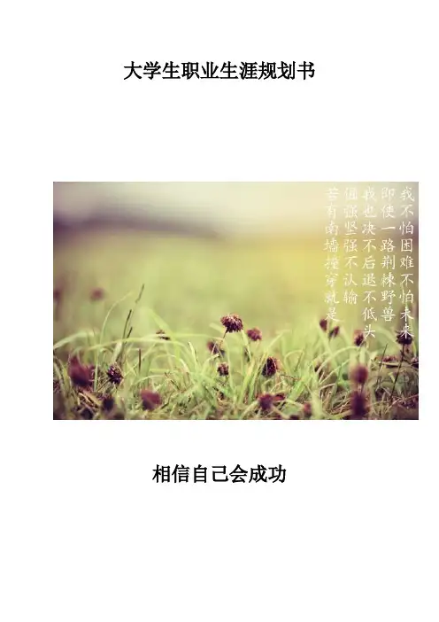 大学生职业生涯规划书计算机系