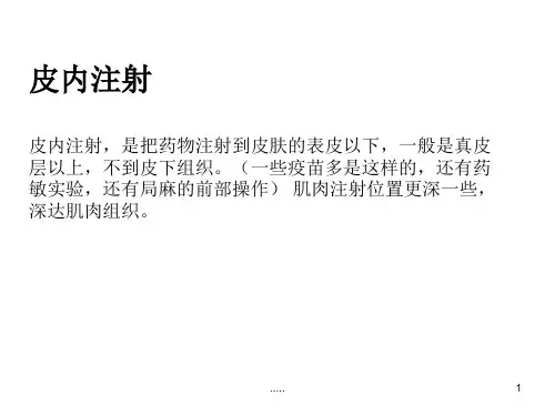皮内注射的方法及注意事项演示文档.ppt