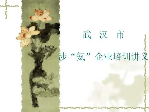 武汉市涉“氨”企业培训讲义