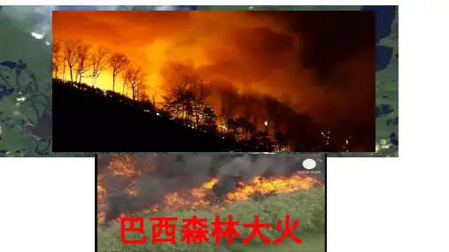 高二地理选修六:主要生态问题——以森林资源破坏、保护为例(精心制作)