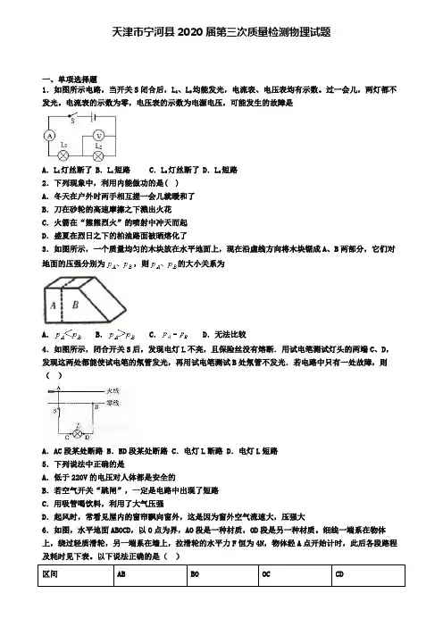 天津市宁河县2020届第三次质量检测物理试题