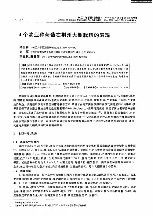4个欧亚种葡萄在荆州大棚栽培的表现