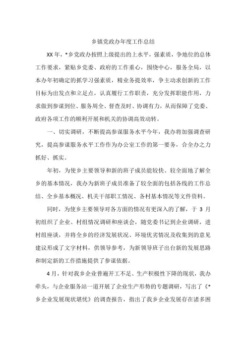 乡镇党政办年度工作总结