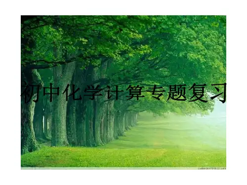初中化学计算专题复习