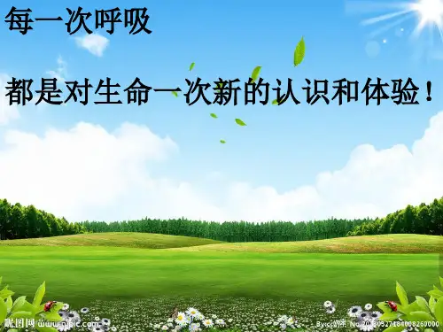 发生在肺内的气体交换原版