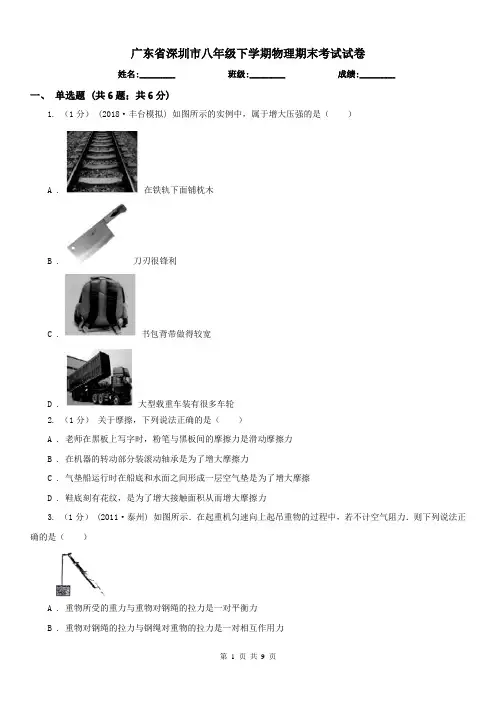 广东省深圳市八年级下学期物理期末考试试卷