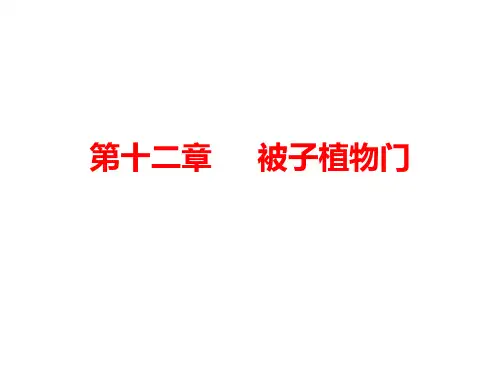 被子植物门-概述