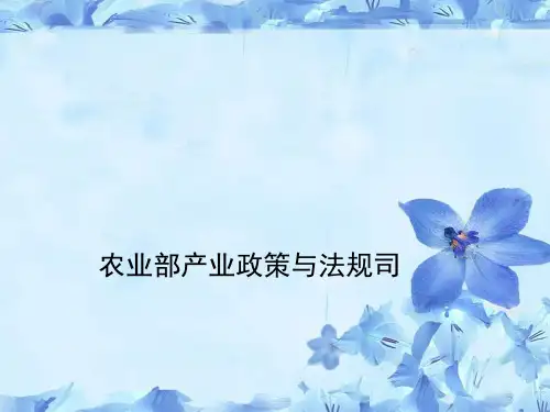 执法程序和文书制作
