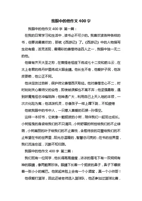最新我眼中的他作文400字