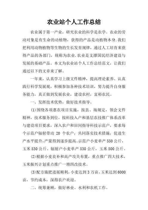 农业站个人工作总结