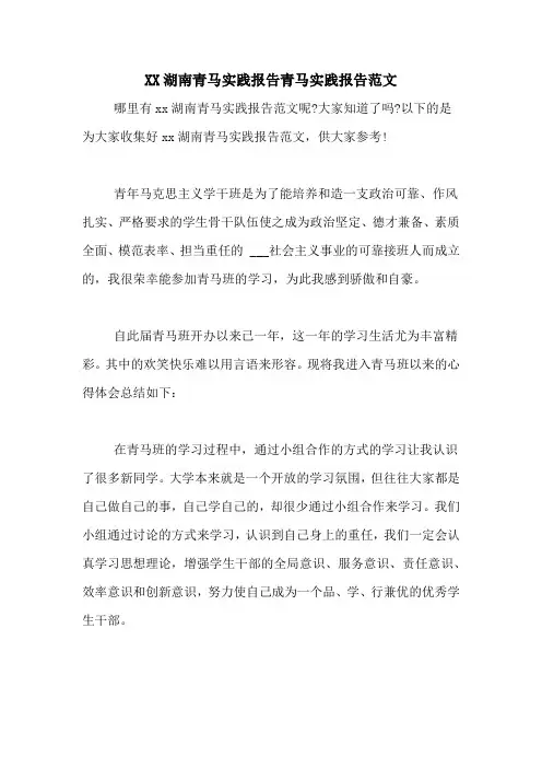 XX湖南青马实践报告青马实践报告范文
