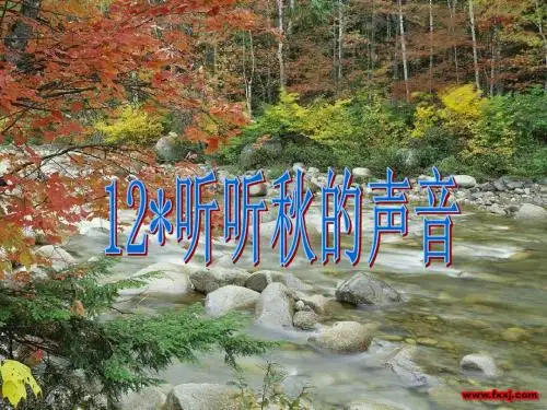 听听秋的声音