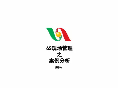 6S案例分析ppt课件