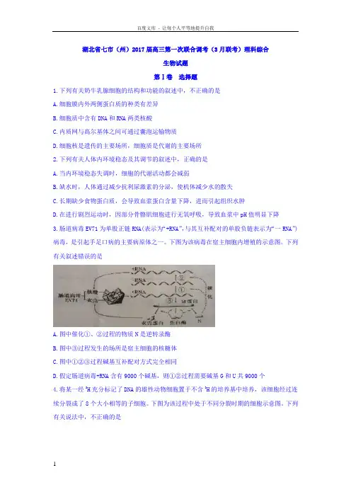 湖北省七市州2017届高三第一次联合调考3月联考理科综合生物试题Word版含答案