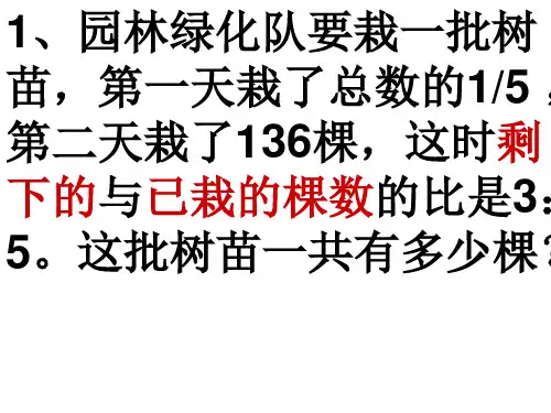 比例练习应用题