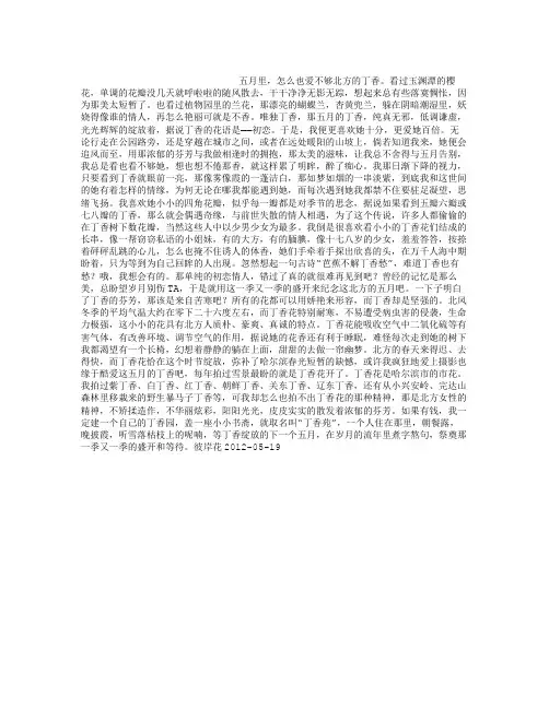 五丁香