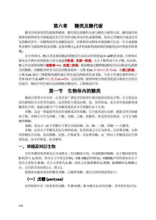 大学 考研 笔记 教案 第六章-- 糖类及糖代谢1
