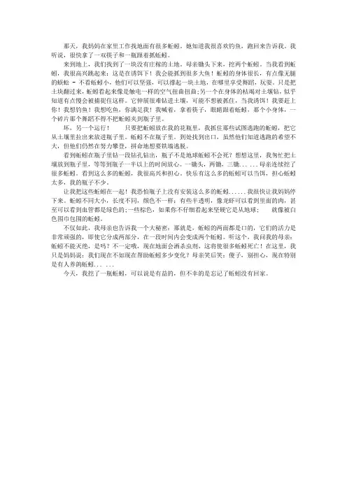 童年趣事作文：抓蚯蚓