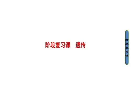 高三生物(通用版)二轮复习课件 第1部分 板块2 阶段复习课 遗传