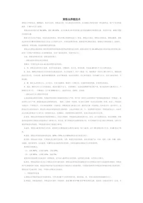 黄粉虫养殖经验