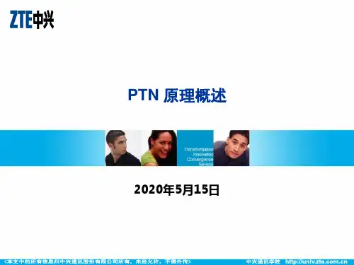 4_PTN原理概述