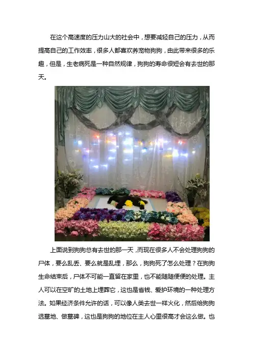 狗狗死了怎么处理