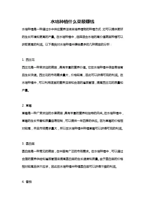 水培种植什么菜最赚钱 2