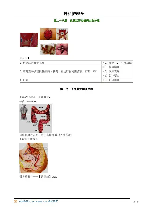 直肠肛管疾病病人的护理 精华版