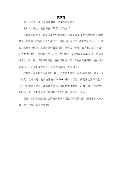 放烟花_小学作文_24