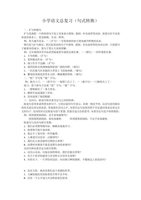 小学语文总复习  句式转换