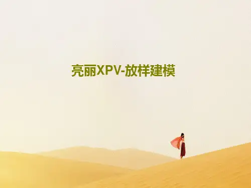 亮丽XPV-放样建模共16页