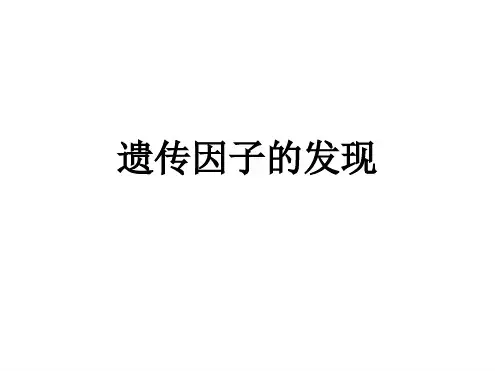 基因分离定律复习模板
