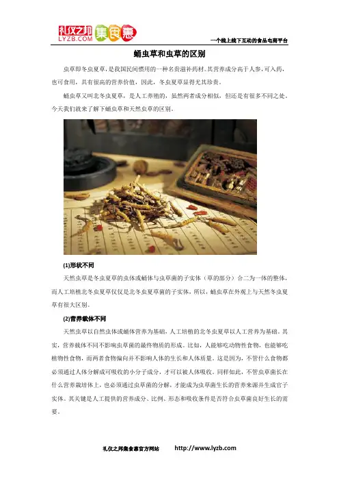 蛹虫草和虫草的区别