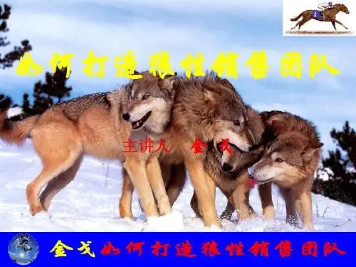 如何打造狼性销售团队