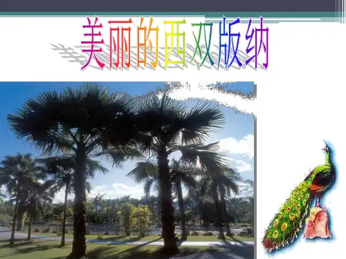 美丽的西双版纳ppt