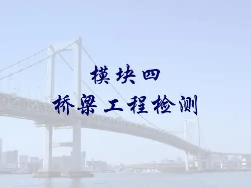 《公路工程检测技术》桥梁工程基础检测(184P)